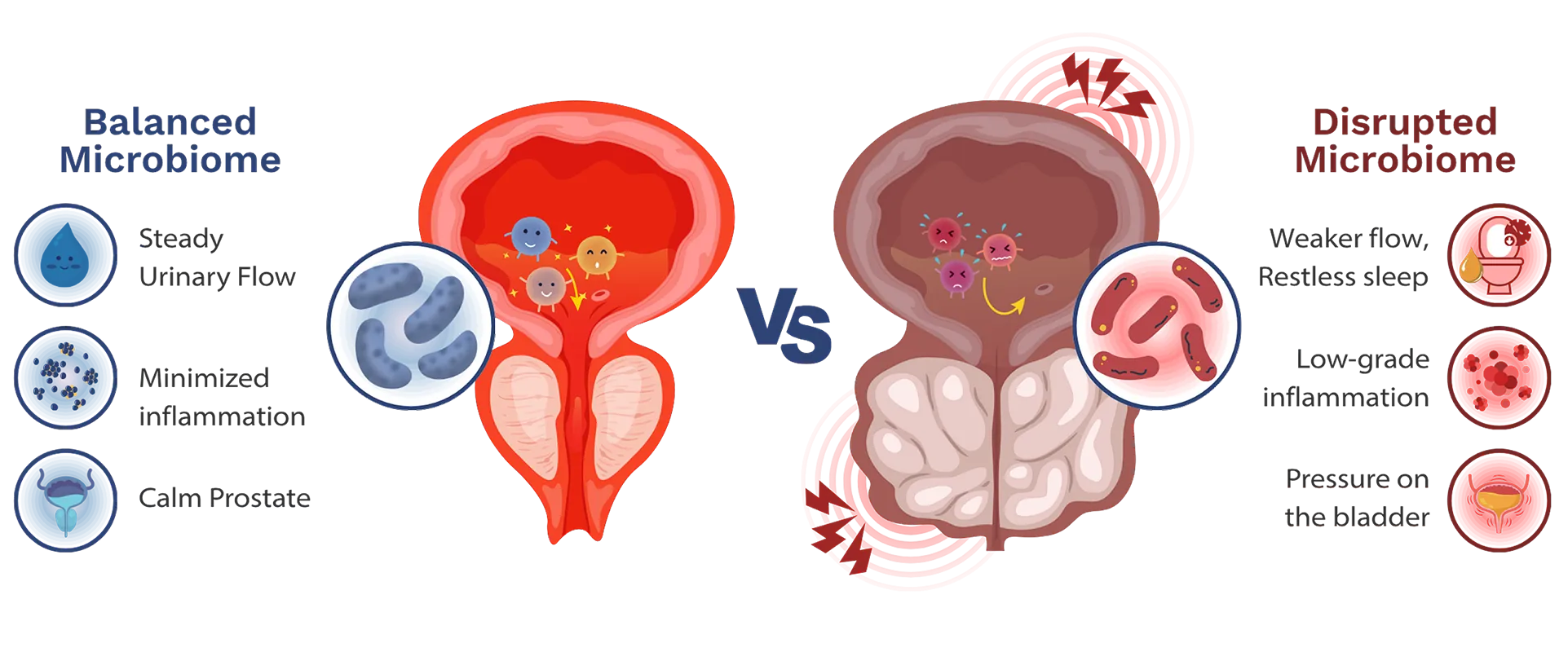 microbiome